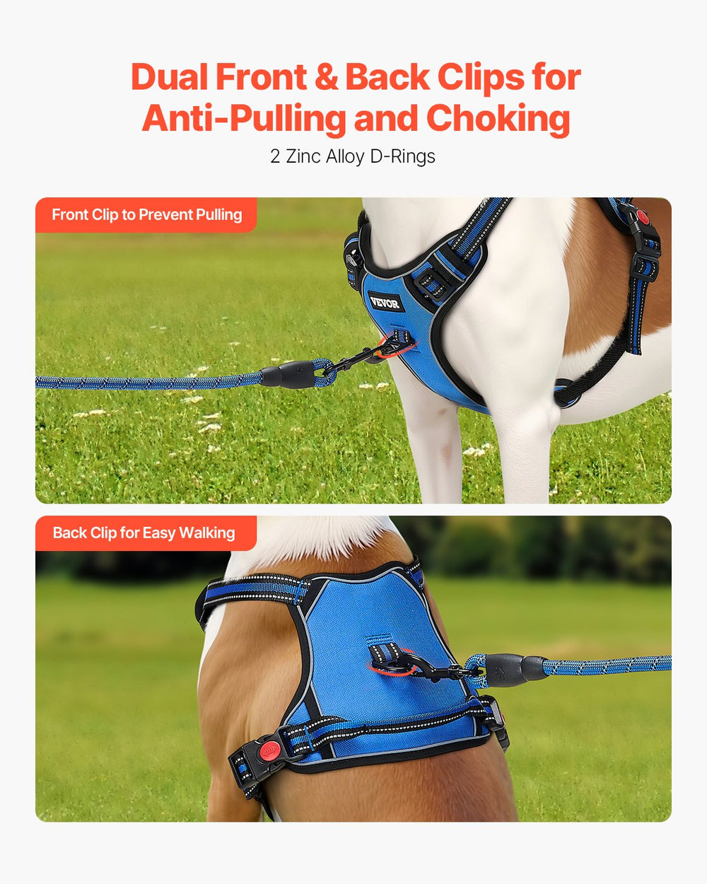 Adjustable dog harness with front and back leash attachment points