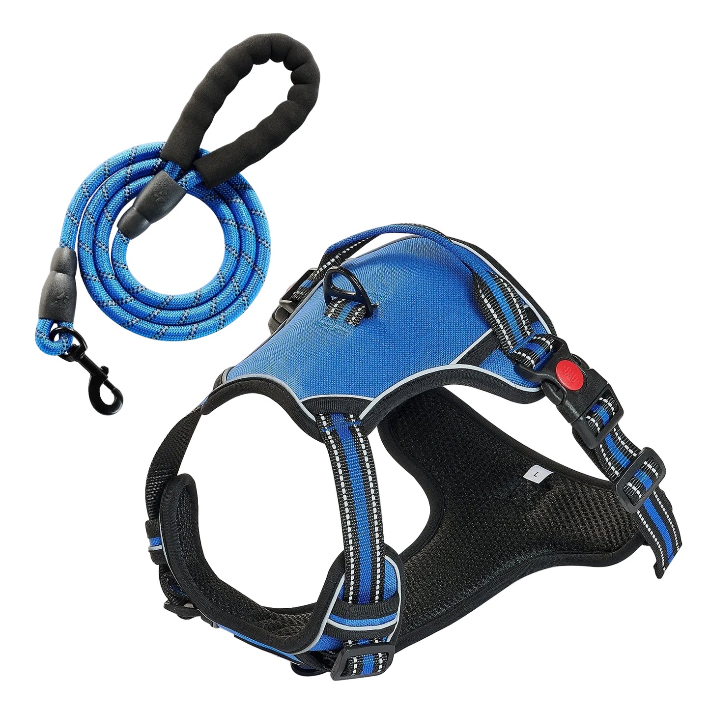 No-pull dog harness set with matching leash product photo
