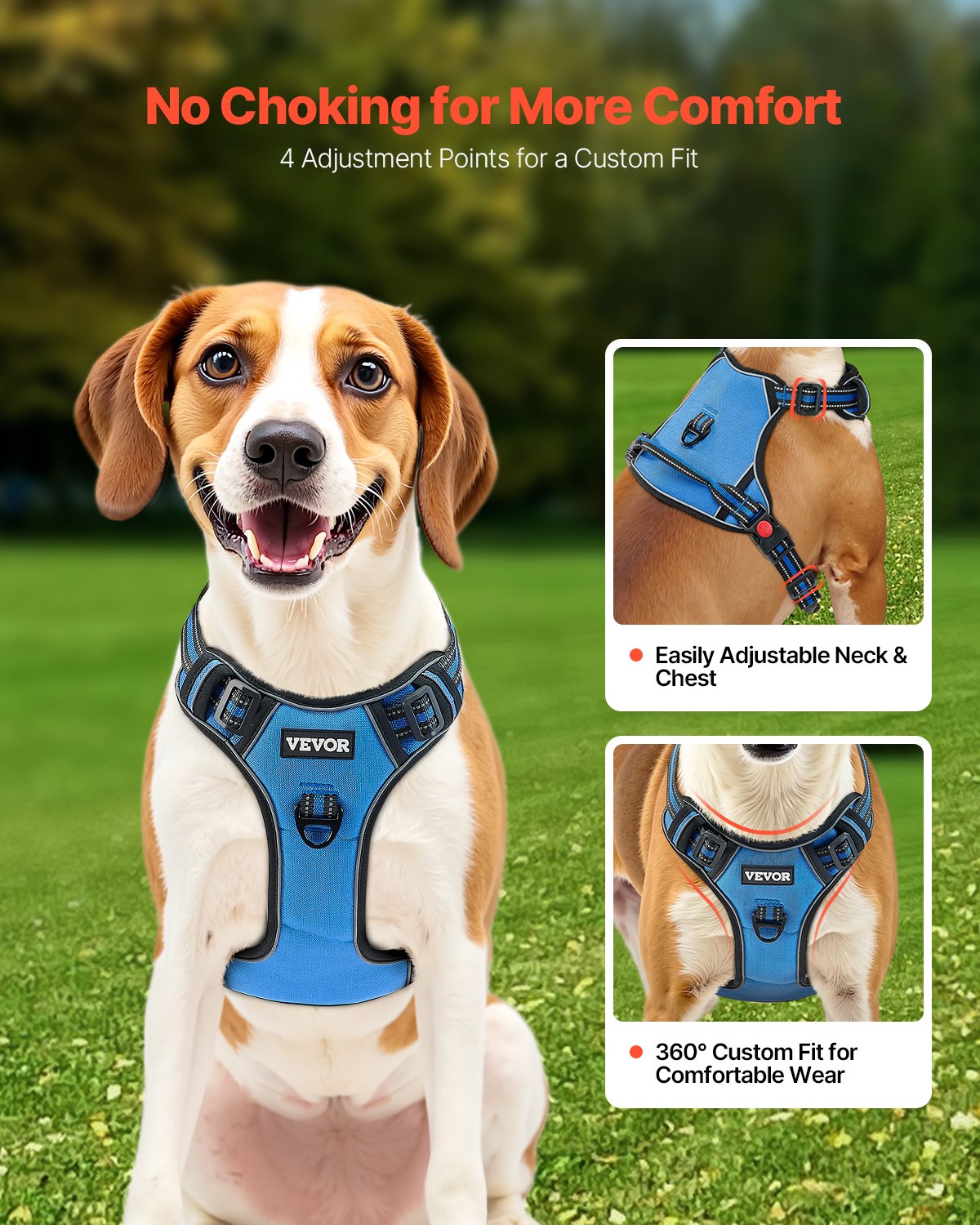 Large dog wearing blue no-pull harness on walk